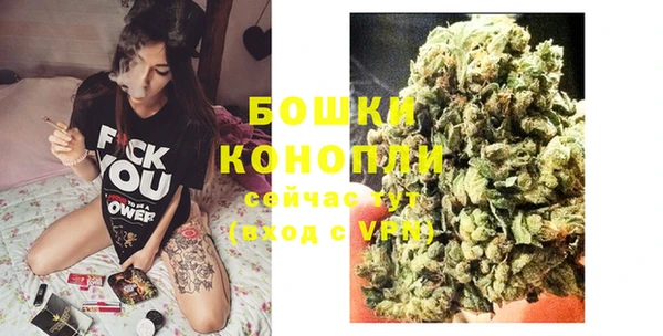 стаф Белоозёрский